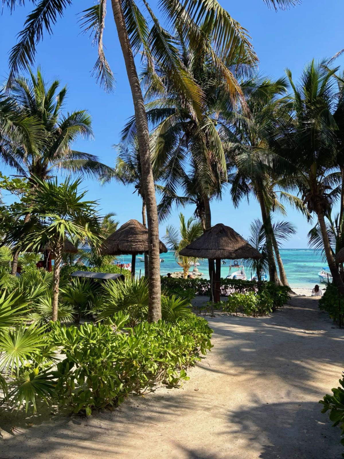 Terreno Riviera Maya 3